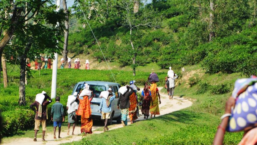 Tea labourers children.jpg