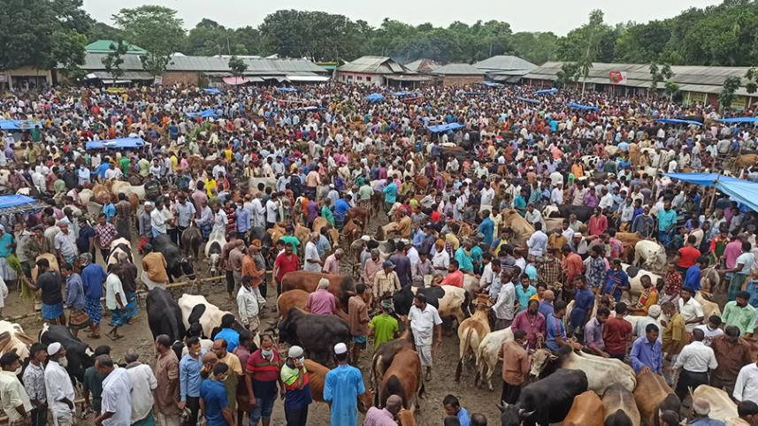 thakurgaon cow hut.jpg