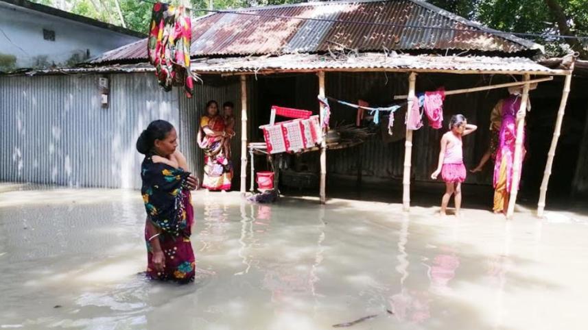 টাঙ্গাইল 3.jpg