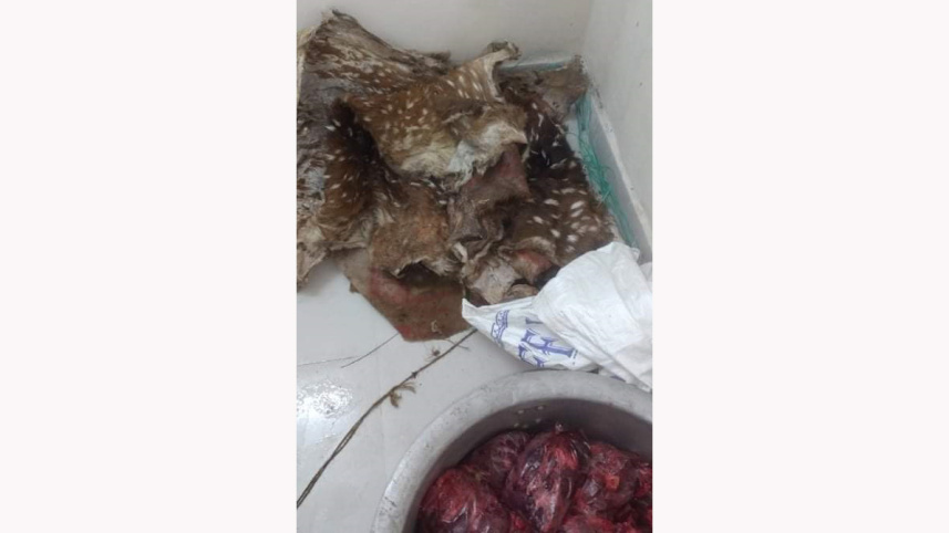 deer barishal
