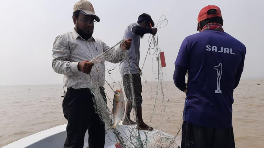ilish_.jpg