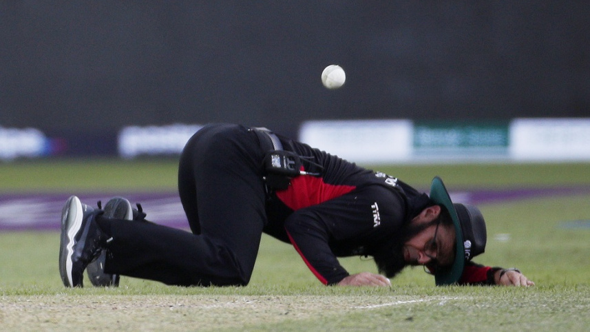 Aleem Dar