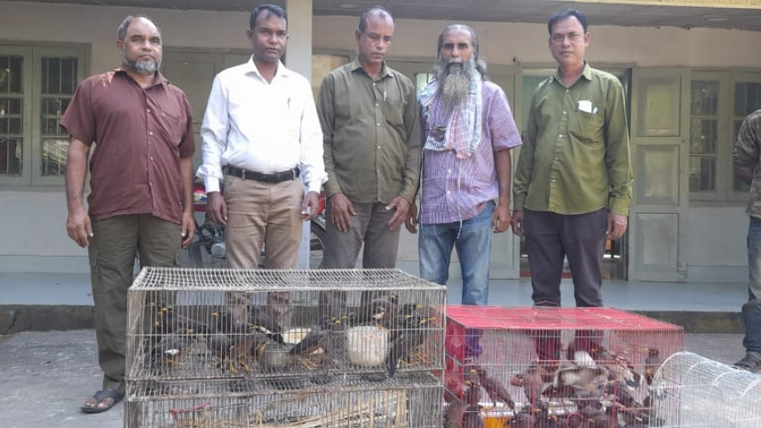 sylhet_common_myna_rescued_2.jpg
