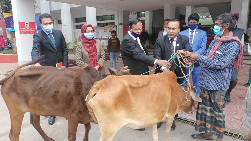 lalmonirhat_farmer_cow-01.jpg