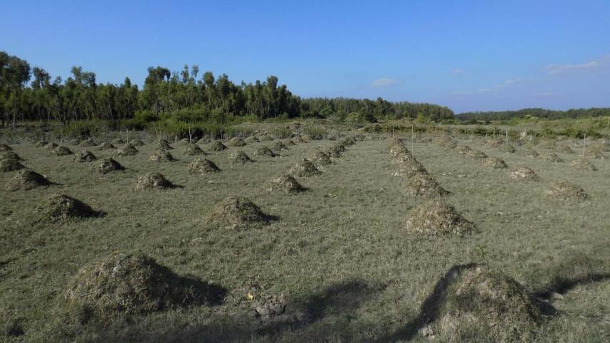 where_are_the_benefits