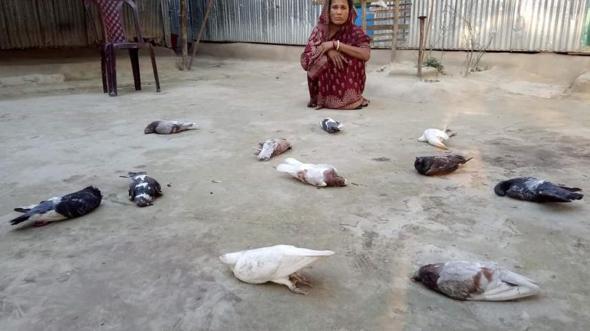 kurigram_bees_attacking-01.jpg