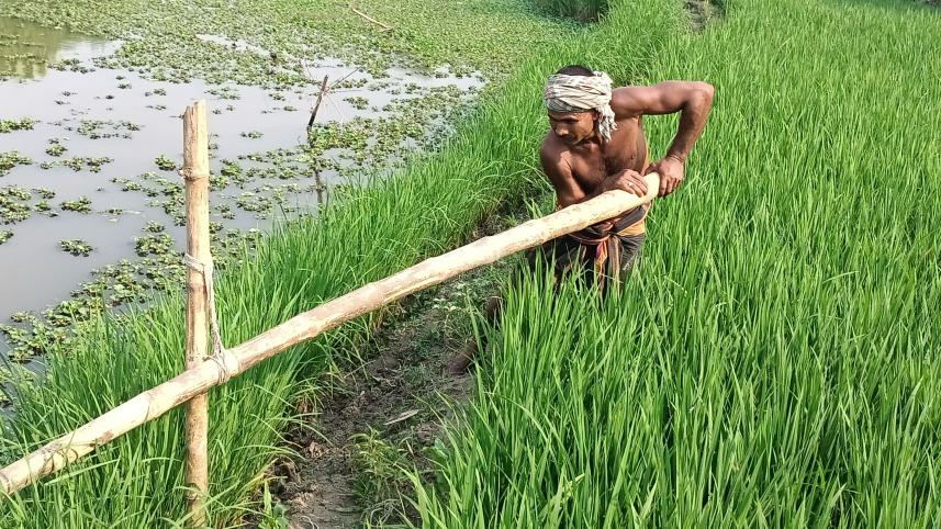 lalmonirhat_farmer-02.jpg