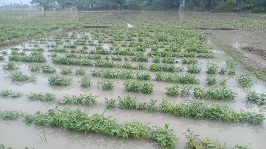patuakhali_pic-_277_10.05.22.jpg