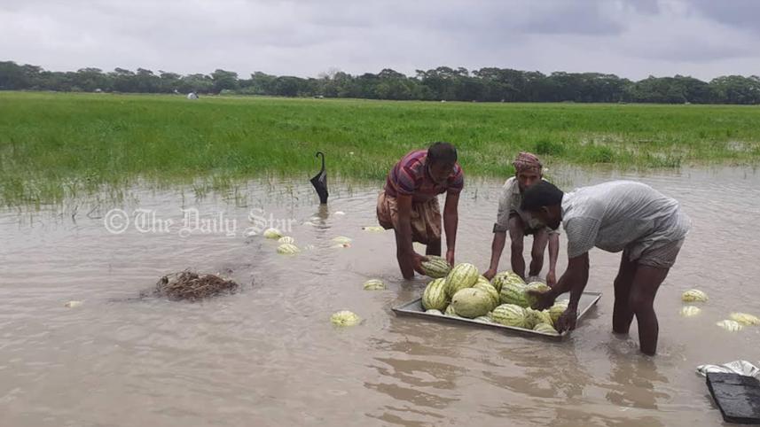 water_lemon_3.jpg