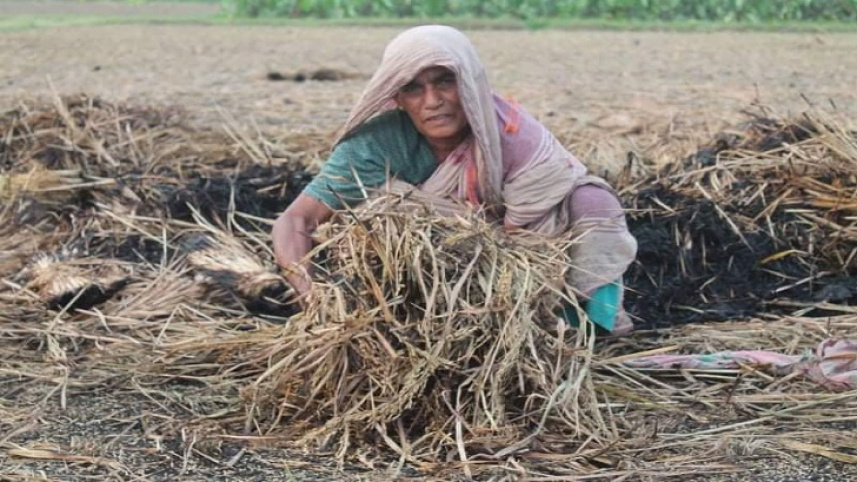 meherpur
