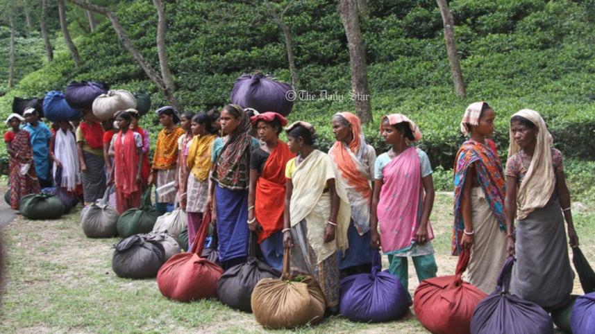 চা-শ্রমিক.jpg