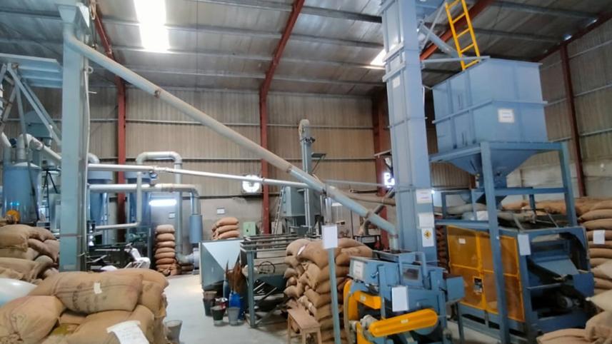 পটুয়াখালীর মুগডাল