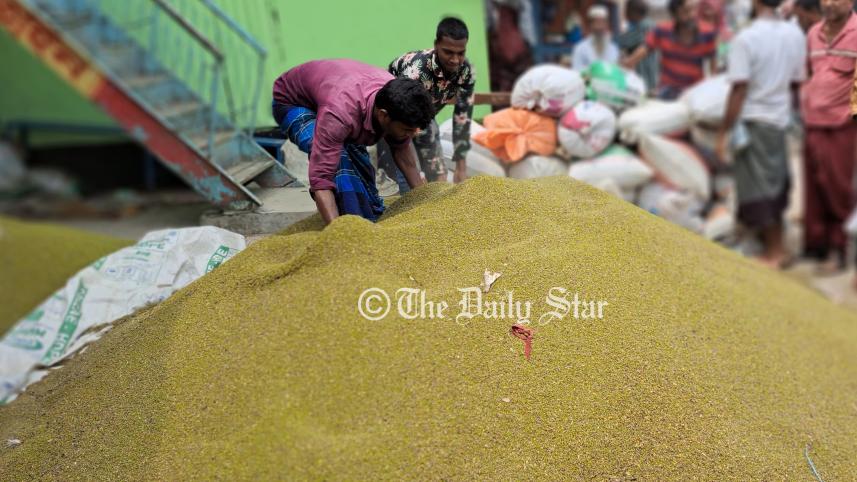 পটুয়াখালী মুগডাল