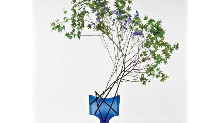 freestylemapleikebana.jpg