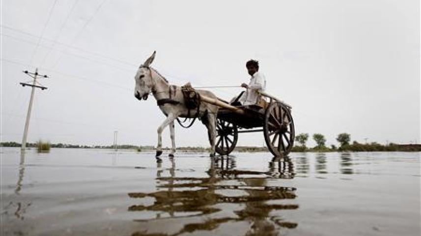 পাকিস্তানের বন্যাদূর্গত অঞ্চলে এ ধরনের পরিবহনে গাধার ব্যবহার প্রচলিত। ফাইল ছবি: রয়টার্স