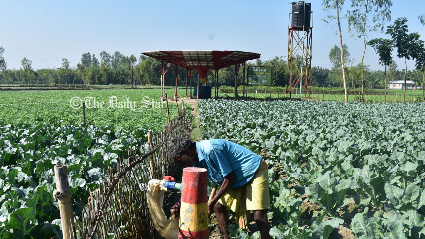 পরিবেশবান্ধব সেচ ব্যবস্থা