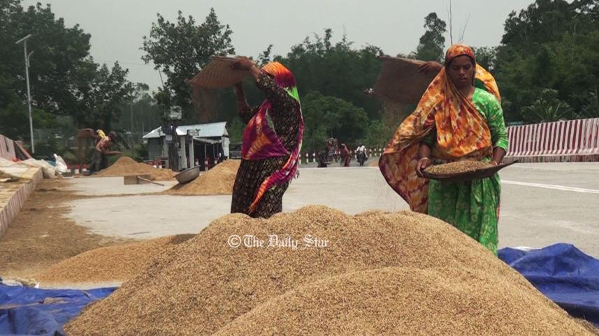 চালের দাম