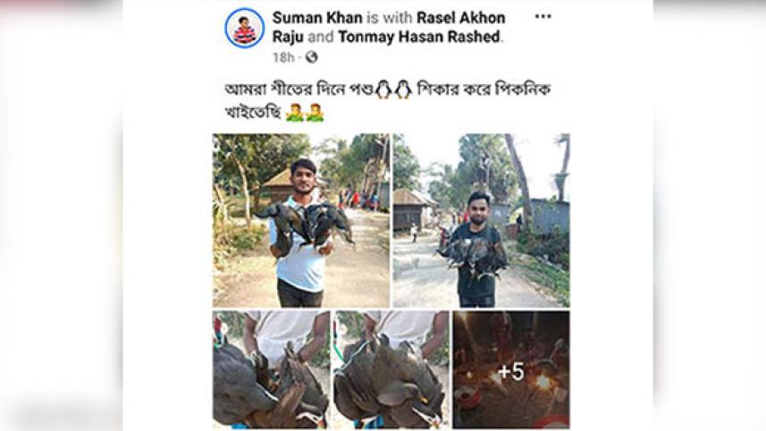 বাউফলে পরিযায়ী পাখি শিকার করে পিকনিক, ফেসবুকে স্ট্যাটাস.jpg