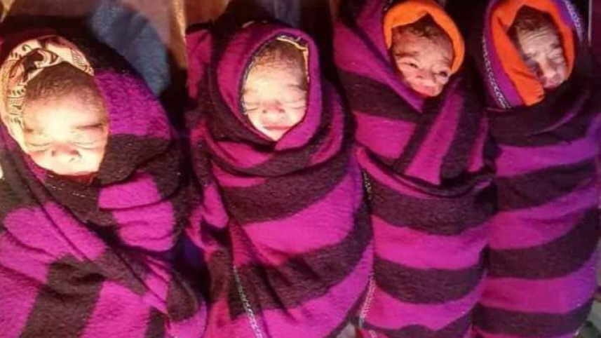 জামালপুরে একসঙ্গে ৪ সন্তানের জন্ম