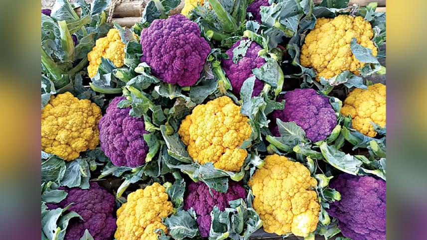 coloured-cauliflower.jpg
