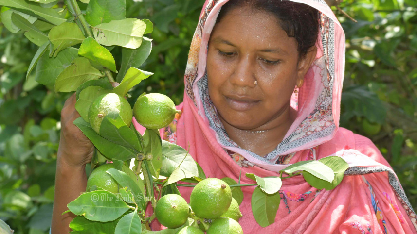 রেশমা কৃষি উদ্যোগ
