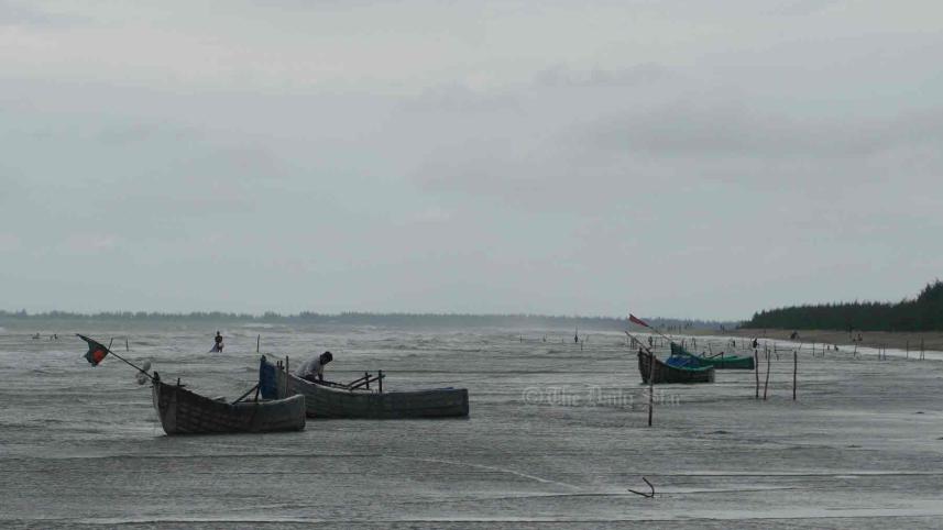 চিংড়ির পোনা