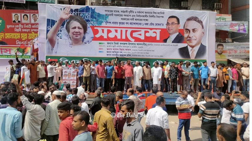 bnp