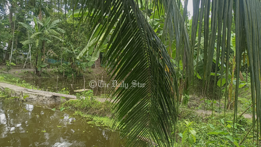 ১ কিলোমিটার খালে ৮ বাঁধ, ৫০০ একর কৃষি জমিতে জলাবদ্ধতা