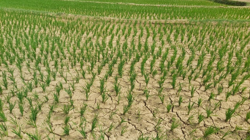 rajshahi.jpg