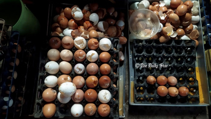 egg.jpg
