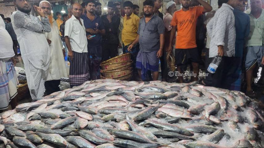 ইলিশ