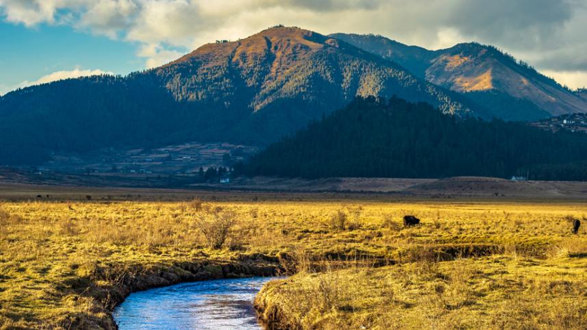 phobijikha-valley-bhutan-image.jpg