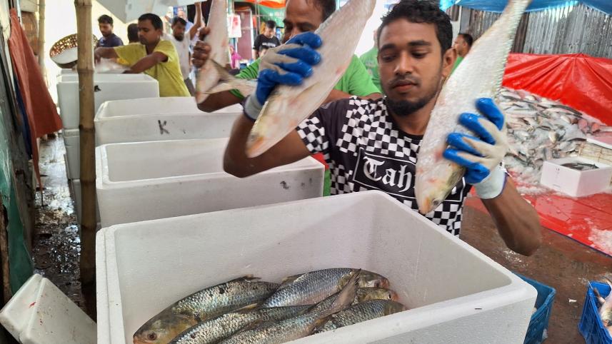 hilsa_barishal.jpg