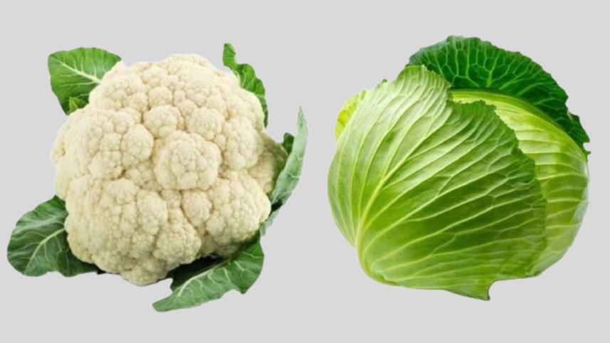 ফুলকপি, বাঁধাকপি