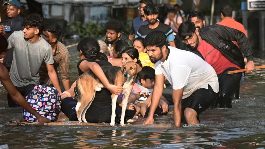 চেন্নাইতে বন্যাকবলিত মানুষ একটি ভেলার ওপর আশ্রয় নিয়েছেন। সঙ্গে একটি কুকুরকেও আশ্রয় দিয়েছেন তারা। ছবি: এএফপি
