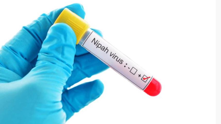 নিপাহ ভাইরাস
