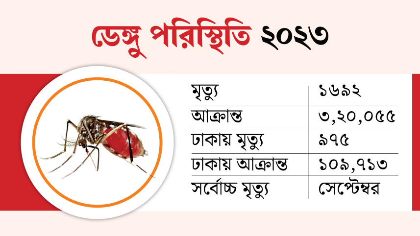 dengue-02.jpg