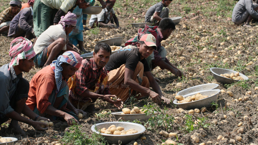 আলুর দাম