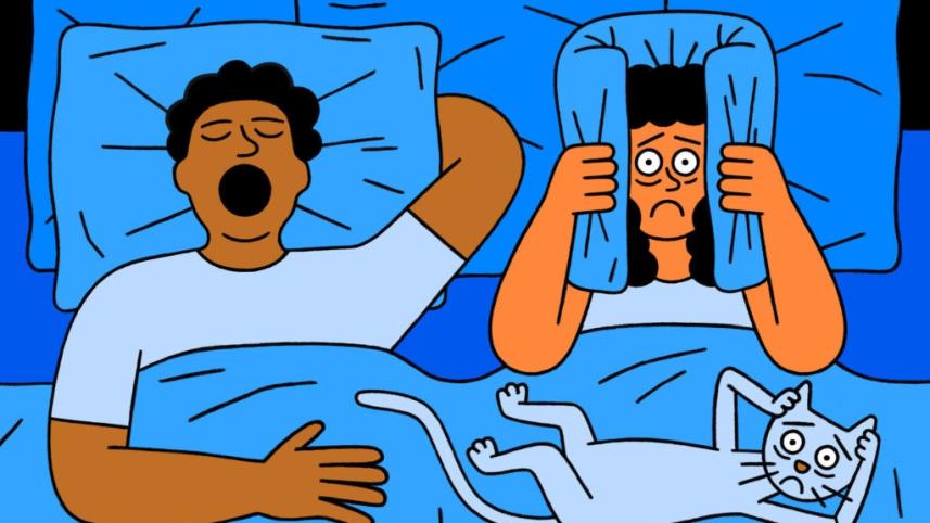 নাক ডাকা