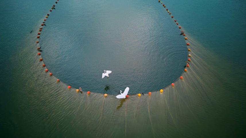 কাপ্তাই হ্রদ