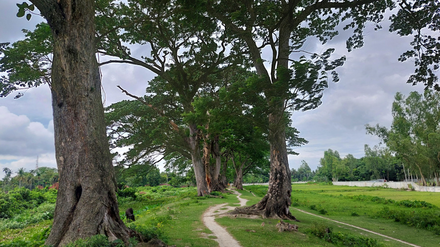 গাইবান্ধা