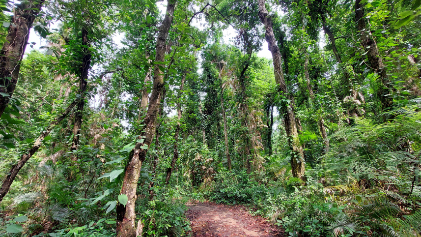 শালবন জাতীয় উদ্যান