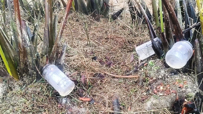 গোলের গুড়