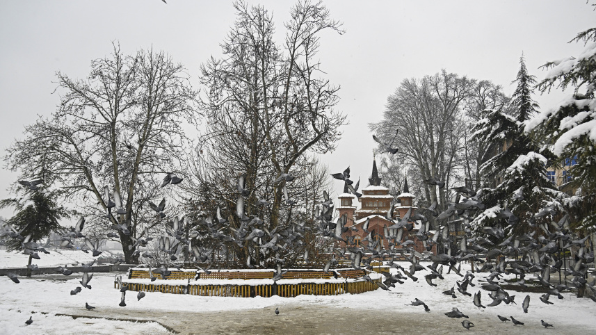 কাশ্মীরের রাজধানী শ্রীনগরে তুষারপাত। ছবি: এএফপি (ফেব্রুয়ারি, ২০২৪)