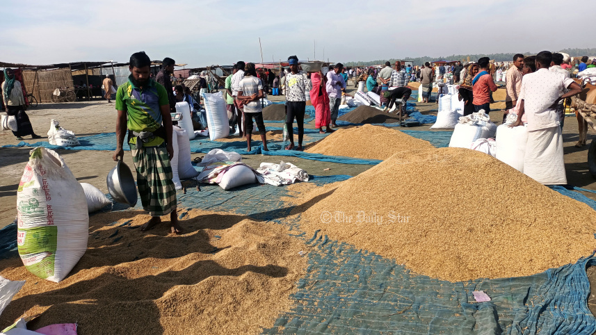 গানজিয়া