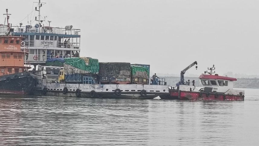 ফেরি ক্যামেলিয়া