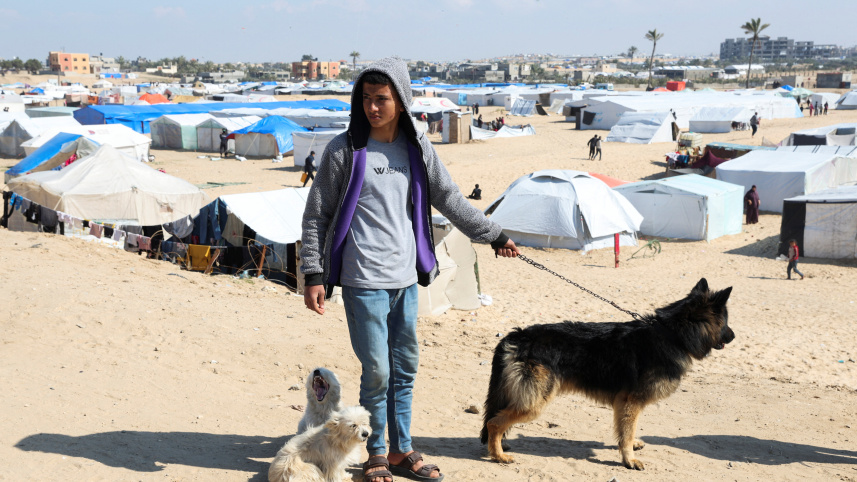 বাস্তুচ্যুত ফিলিস্তিনি যুবক হাসান আবু সামান নিজের পাশাপাশি তার পোষা কুকুরদের দেখভাল করতে হিমশিম খাচ্ছে। জীবন বাঁচাতে রাফাহ এসে তাকে খোলা আকাশের নিচে তাঁবু খাটিয়ে জীবনযাপন করতে হচ্ছে। ছবি: রয়টার্স (২০ ফেব্রুয়ারি, ২০২৪) 