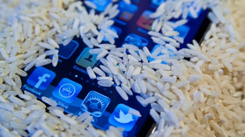 rice_iphone.jpg