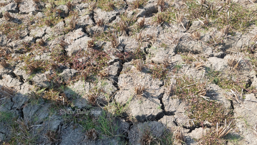 জিকে প্রকল্প