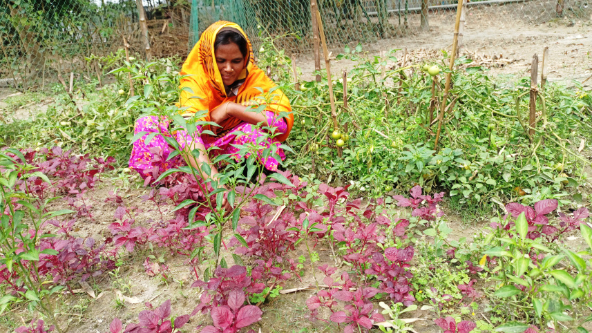 rangpur_climate_smart_garden-01.jpg